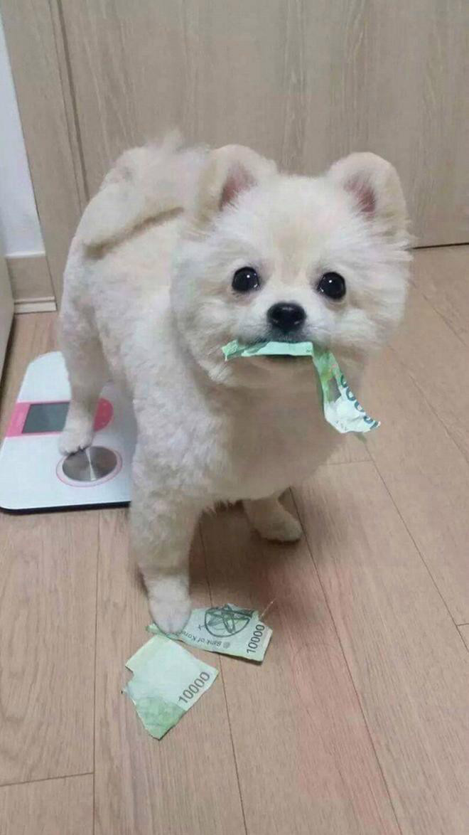 돈맛 이미지