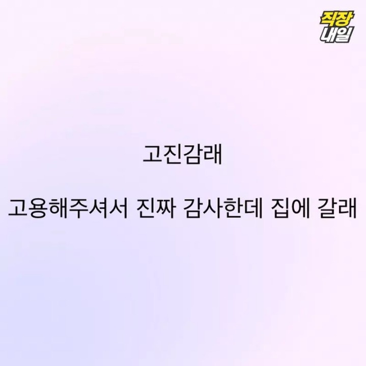 직장인의 사자성어 해석 | 인스티즈