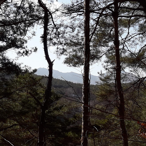 삼공사 이미지