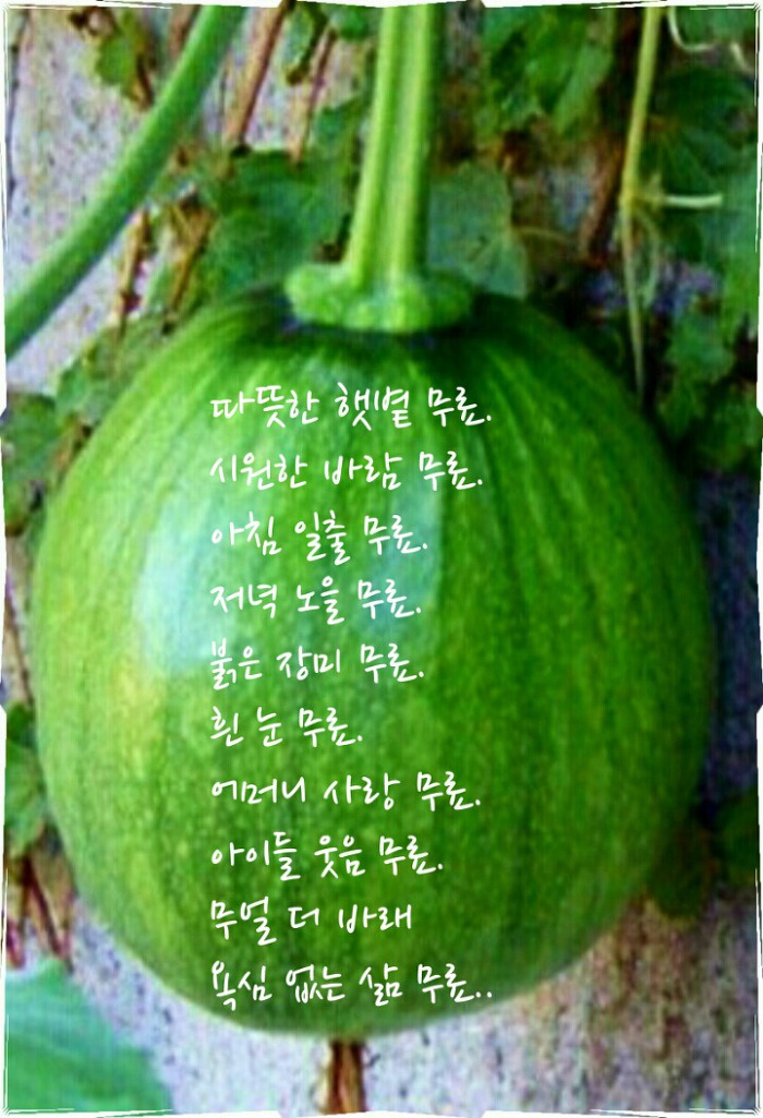 오소 이미지