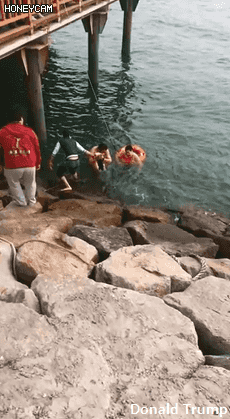 강아지 구하러 물에 뛰어드는 시민들.gif | 인스티즈