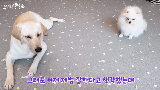 "먹어" 대신 다른말을 해보았습니다 | 인스티즈