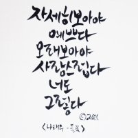 풀향 이미지