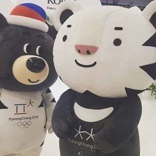 머리 이식...성공적... | 인스티즈