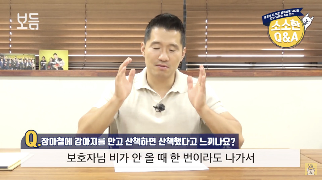 장마철에 강아지를 안고 산책하면 산책했다고 느끼나요?.jpg | 인스티즈