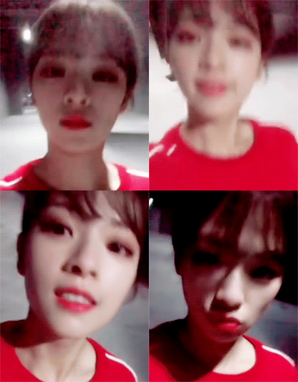 180919 트와이스 틋토리 정연 | 인스티즈