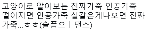 고양이가 알려주는 진짜 가죽 vs 인조 가죽 테스트 | 인스티즈
