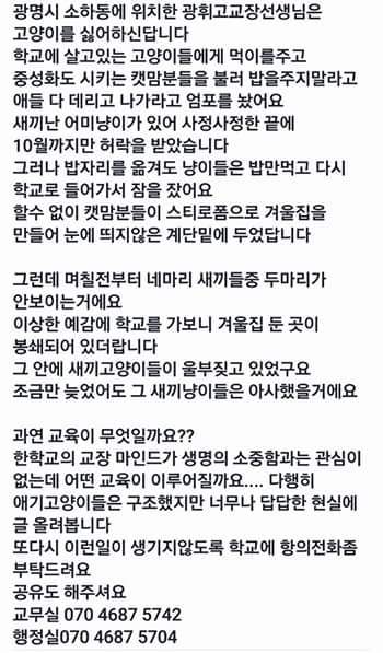 광명시 고등학교 길고양이 학대사건 | 인스티즈