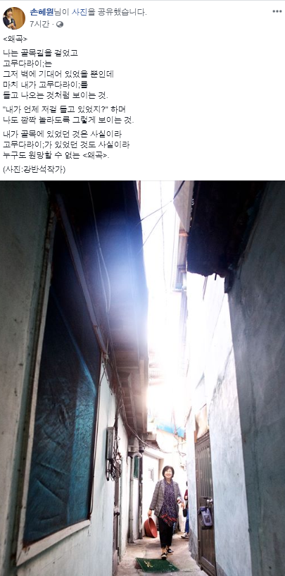 오늘자"국회의원"시전한 손혜원 | 인스티즈