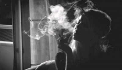 99F912335D5E69D008DE04