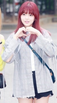 수연 이미지