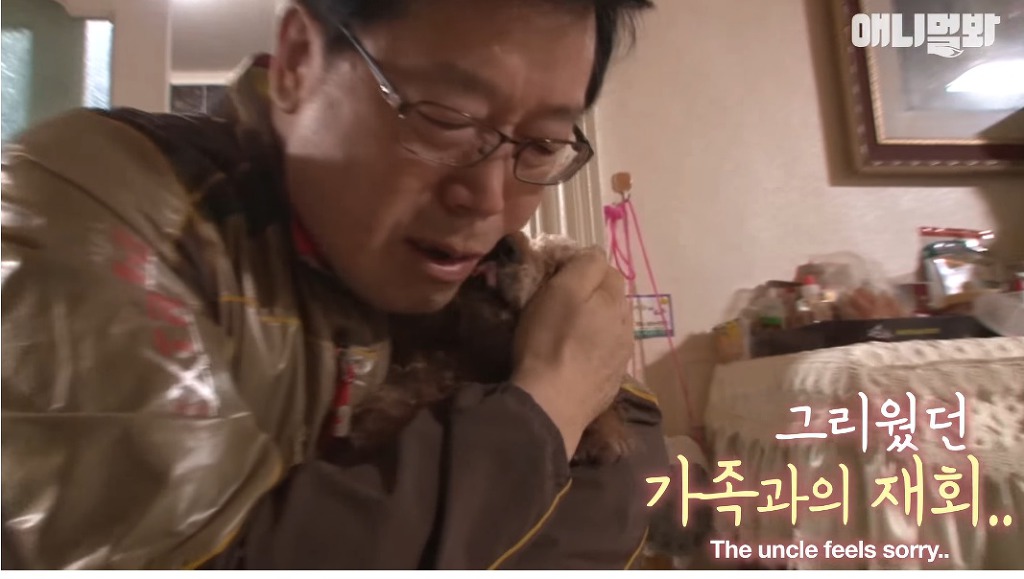 대낮에 남의 개를 납치한 여자 | 인스티즈